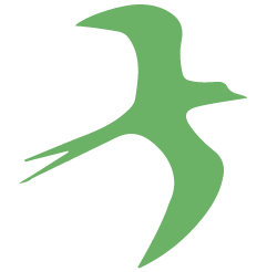 Icon oiseau en vert