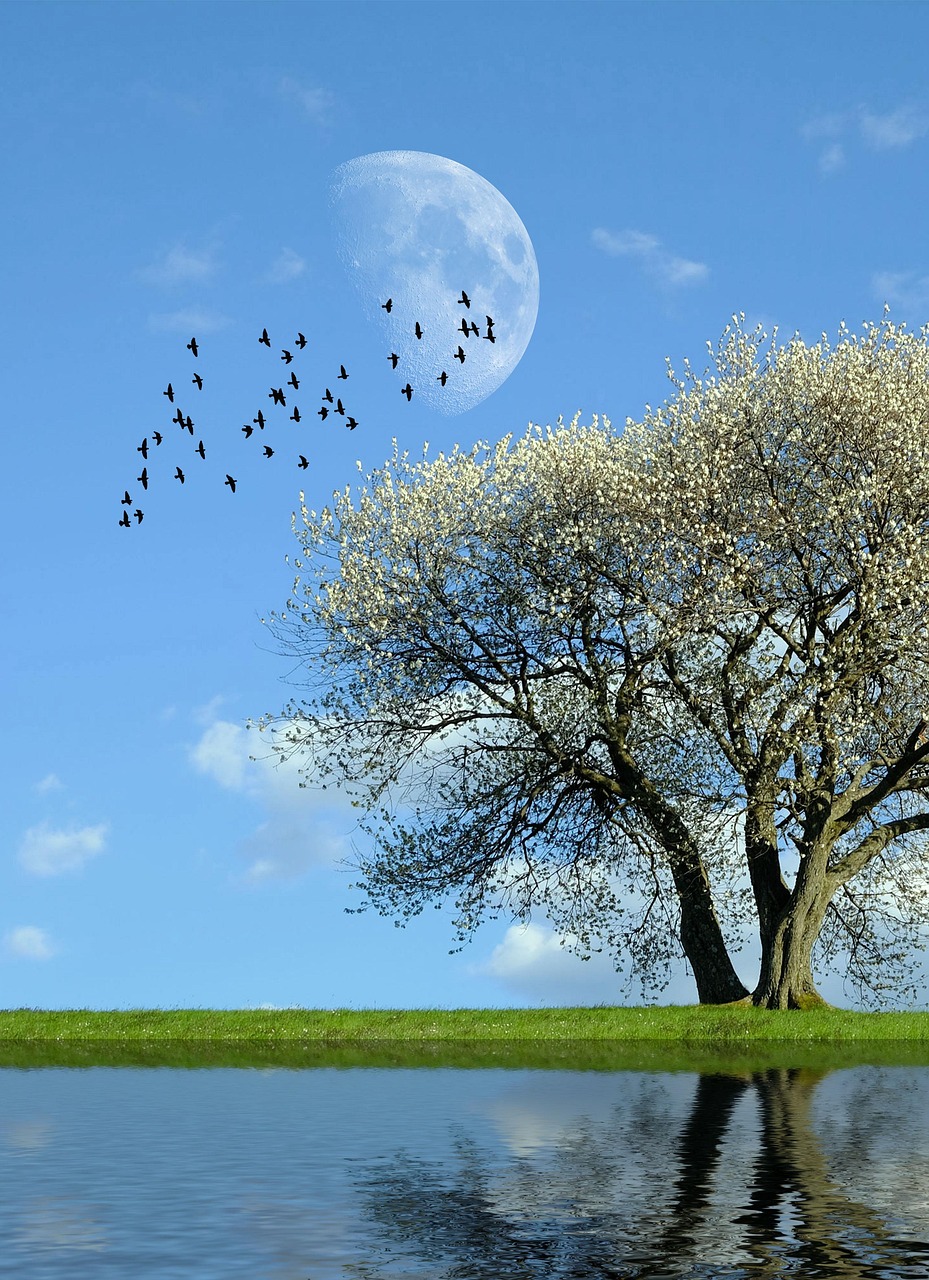 Hypnose en pleine nature avec Myriam Blezard à Pessac