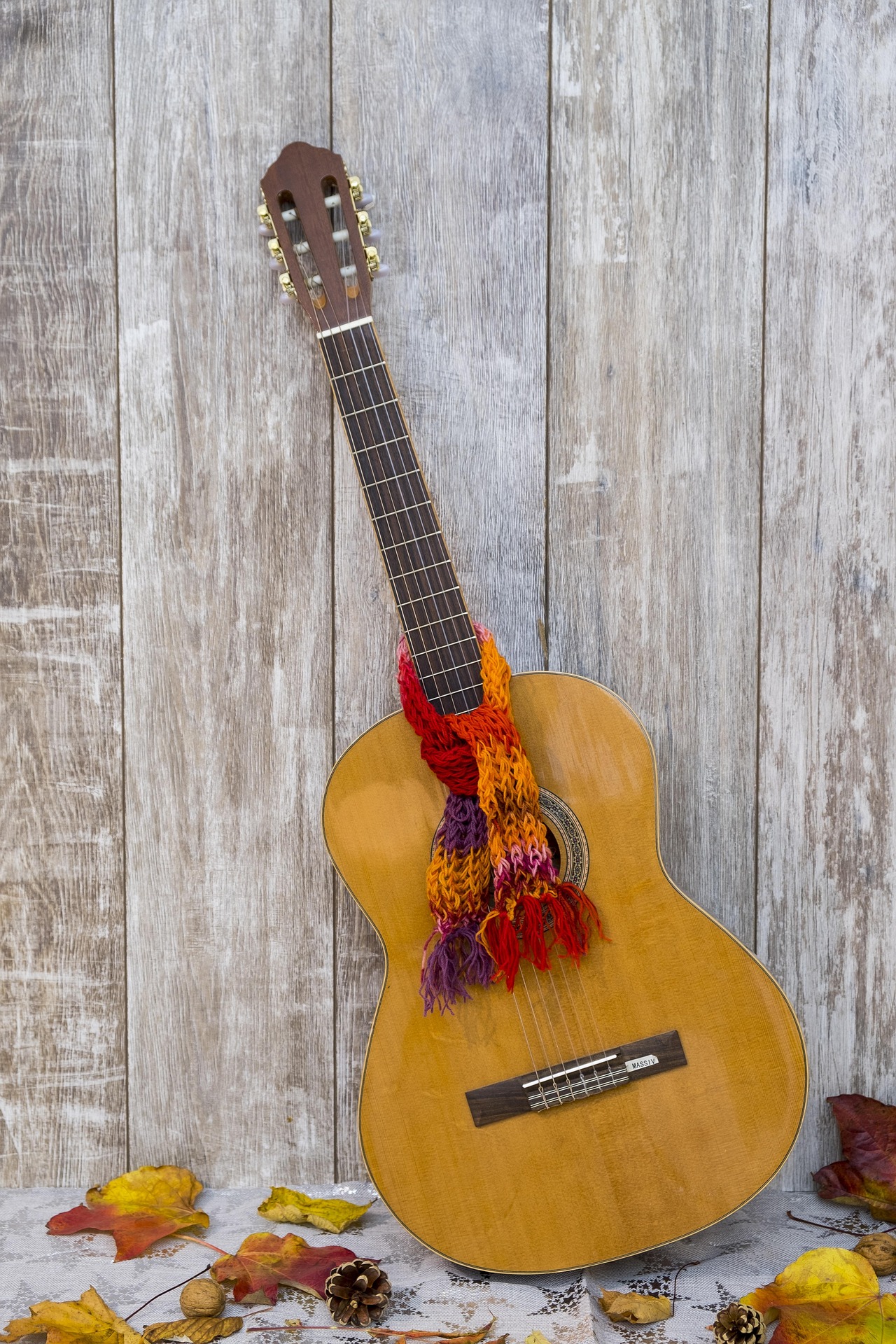 bru-no-guitar-2942309_1920 Hypnose en pleine nature avec Myriam Blezard à Pessac